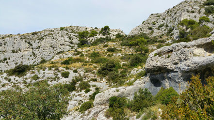 Bild: Wanderung im Luberon