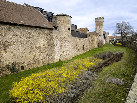 Bild: Die Stadtmauer in Obernai