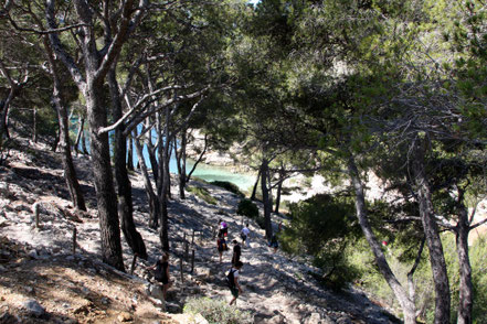 Bild: Wanderung zur Calanque de Port Pin