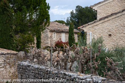 Bild: Caprières d´Avignon, Vaucluse