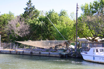 Bild: Fahrt mit der TIKI III bei Saintes-Maries-de-la-Mer, Camargue 