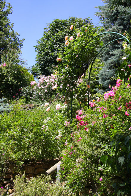 Bild: Jardin de l´Abbaye de Valsaintes, Simiane-la-Rotonde