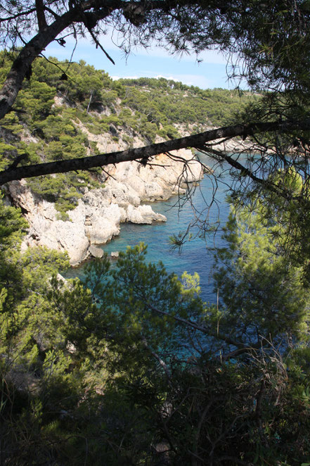 Bild: Küstenwanderung bei Bandol