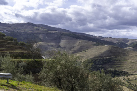 Bild: Fahrt in den Weinbergen des Douro 