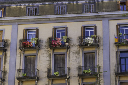 Bild: Üppiger Blumenschmuck schon im Frühjahr am Plaça Indepèndecia de Girona