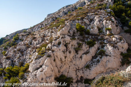 Bild: Wanderung an der Côte Bleue 