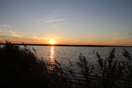 Bild: Sonnenuntergang am Étang de Vaccarès, Camargue