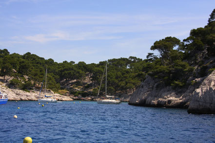 Bild: Cassis - Calanque Port Pin