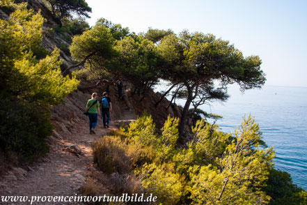 Bild: Wanderung an der Côte Bleue 