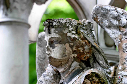 Bild: Cimitiere Père Lachaise in Paris  