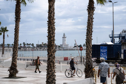 Bild: Plaza de la Marina in Málaga, Spanien