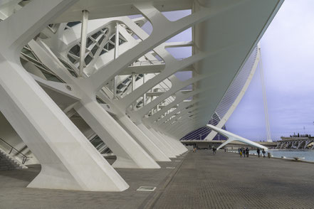 Bild: Museu de les Ciences im Ciutat de les Arts i les Ciències in Valencia 