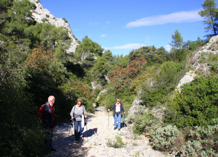 Bild: Wanderung bei Saint-Rémy-de-Provence