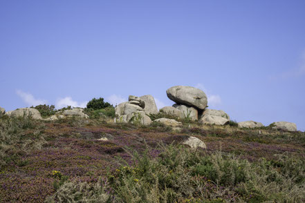 Bild: Sentier des Douniers in Ploumanac´h 