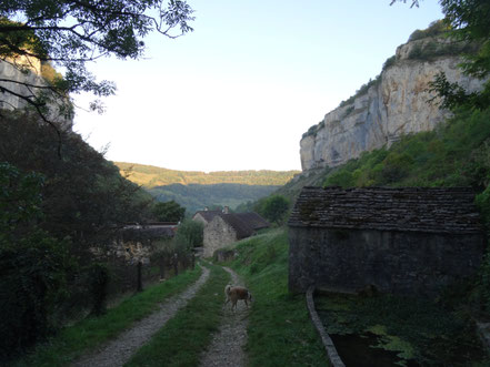 Bild: im Tal von Baume-les-Messieurs