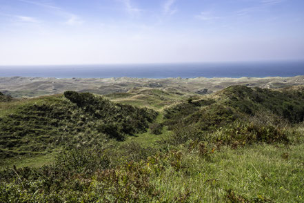 Bild: Blick von der Anfahrt auf die Dunes de Biville