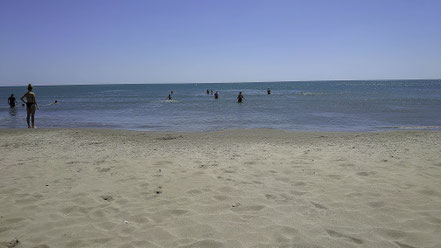 Bild: Der Strand Bambou Palm Beach in Saintes-Maries-de-la-Mer 