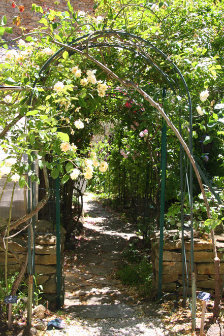 Bild: Jardin de l´Abbaye de Valsaintes, Simiane-la-Rotonde