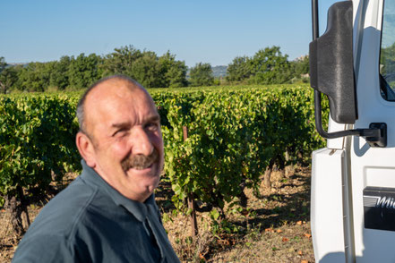 Bild: Traubenlese auf Vignobles Chasson-Château Blanc, Rossillon 