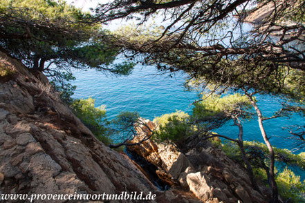 Bild: Wanderung an der Côte Bleue 