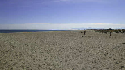 Bild: Leucate Plage