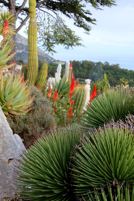 Bild: Exotischer Garten in Èze