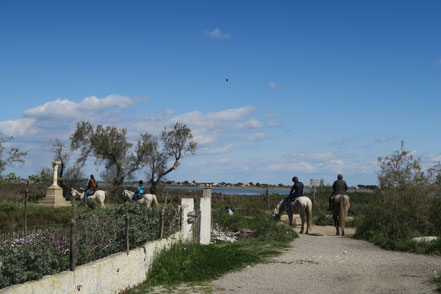 Bild: Saintes-Maries-de-la-Mer 