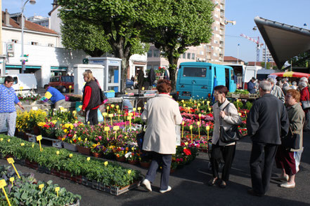 Bild: Markt in Bourg-en-Bresse, Frankreich