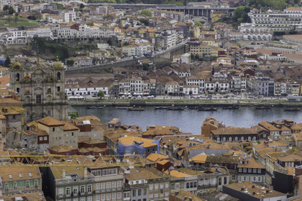 Bild: Ausblick vom Torre dos Clérigos in Porto