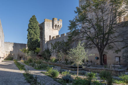 Bild: Château du Tarascon in Tarascon 