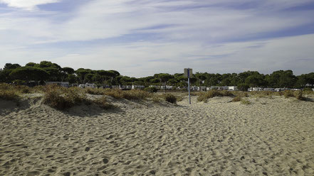 Bild: Campingplatz Le Roussillonnais in Argelès Plage 