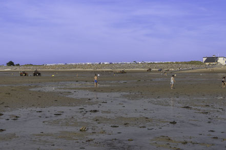 Bild: Am Strand in Gouville-sur-Mer