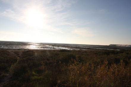 Bild: Salzgewinnung bei Salin-de-Giraud