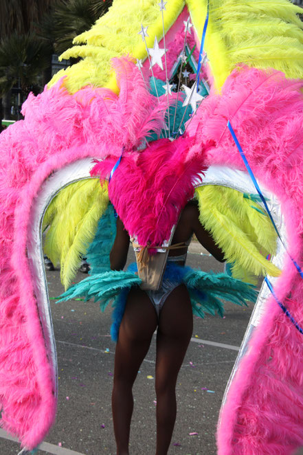 Bild: Blumencorso beim Karneval in Nice (Nizza)