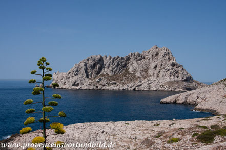 Blick: Île Maire bei Les Goudes