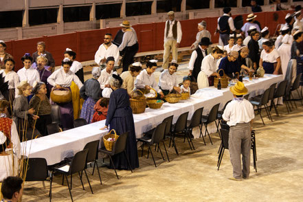 Bild: Arles, Féte "La Pegoulado" 