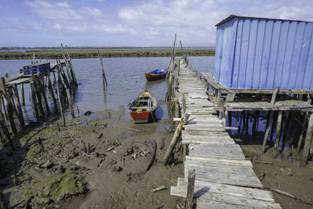 Bild: Cais Palafitico da Carrasqueira in Comporta 