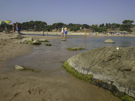 Bild: El Portitxol" und "Platja del Convent" in l`Escala, Spanien