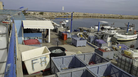 Bild: Argelès-sur-Mer hier am Port d´Argelès 