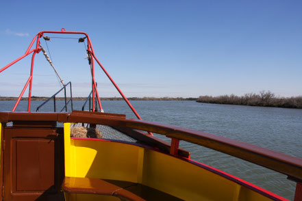 Bild: Fahrt mit der TIKI III bei Saintes-Maries-de-la-Mer, Camargue 