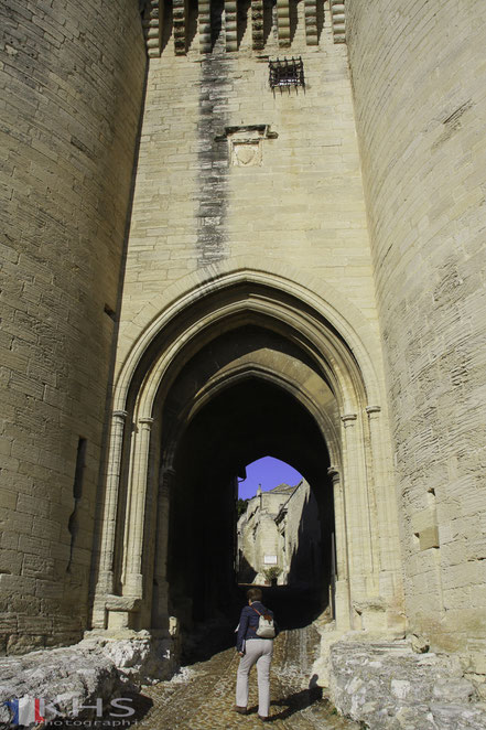 Bild: Fort Saint André in Villeneuve-lés-Avignon