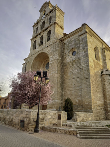 Bild: Glockenturm der Iglesia de Santa Eulalia in Torquemada