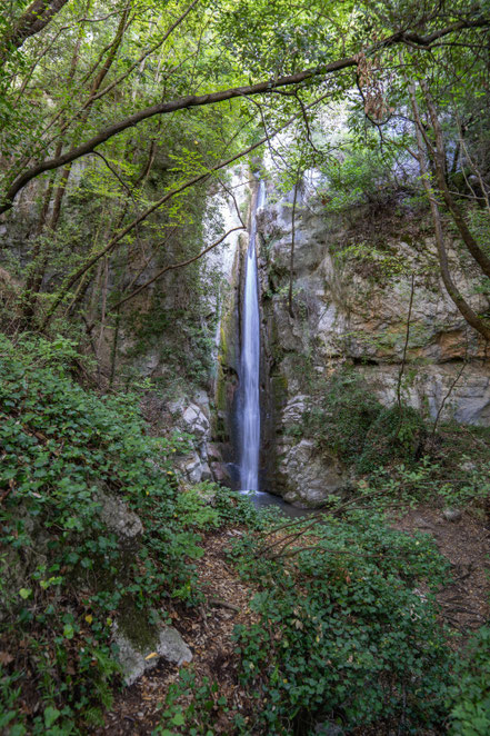 Bild: Wasserfälle "Cascades du Sault du Loup"  