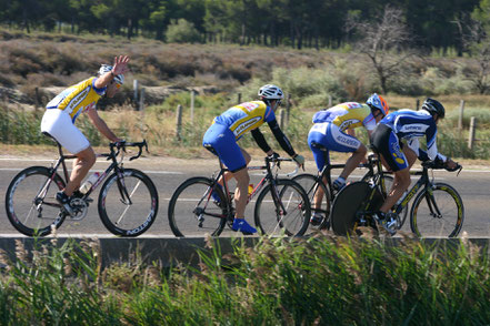 Bild: Radfahrer in der Camargue