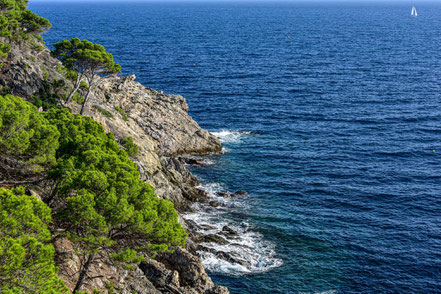 Bild: Île de Porquerolles 