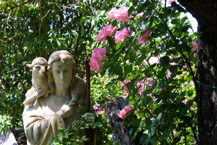 Bild: Jardin de l´Abbaye de Valsaintes, Simiane-la-Rotonde