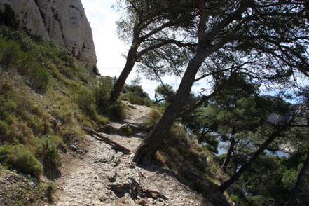 Bild: Wanderweg in der Calanque de Morigou