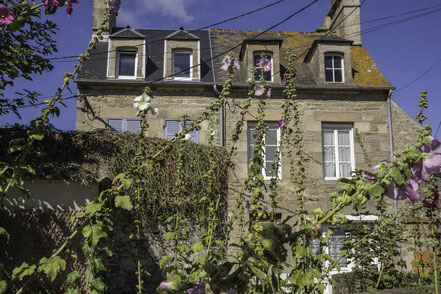 Bild: Haus in Saint-Vaast-la-Hougue