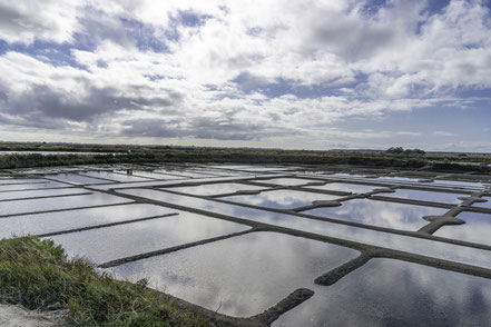 Bild: Die Salzgärten auf der presqu'ile de guerande in der Bretagne