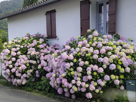 Bild: Baskisches Haus in Itxassou